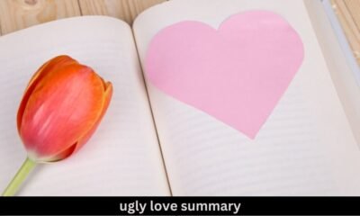 ugly love summary