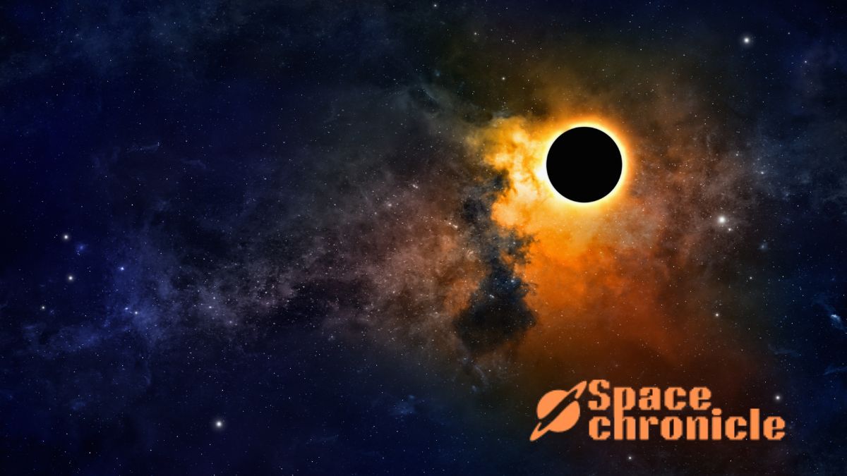 Why Are Black Holes So Dense?